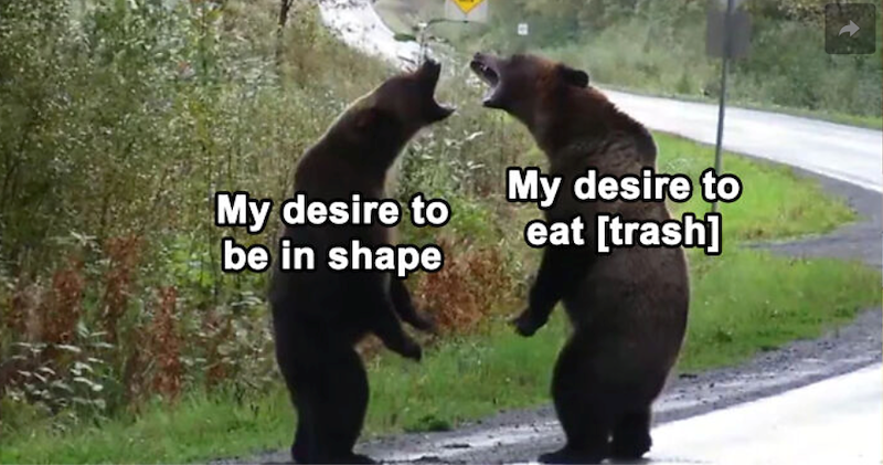 My desire to be in shape My desire to eat [trash]