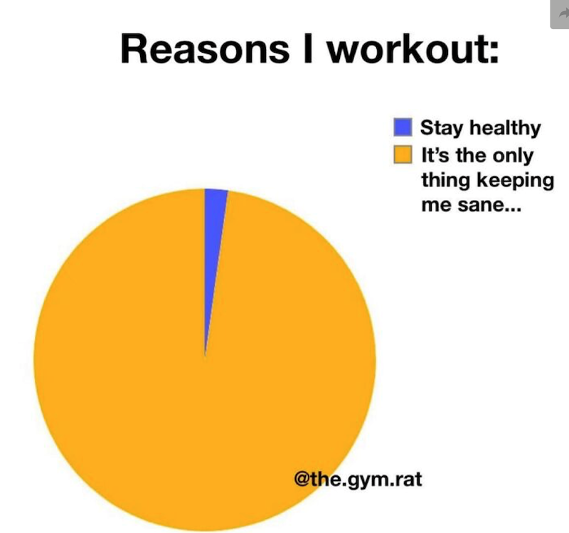 Reasons I workout: @the.gym.rat Stay healthy It's the only thing keeping me sane...