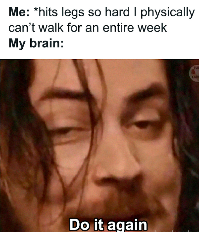 Me: *hits legs so hard I physically can't walk for an entire week My brain: Do it again FUR CARE