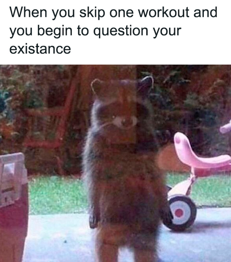 When you skip one workout and you begin to question your existance