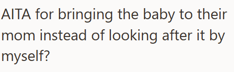 AITA for bringing the baby to their mom instead of looking after it by myself?