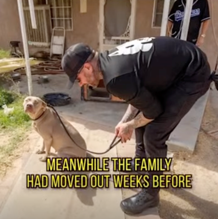 MEANWHILE THE FAMILY HAD MOVED OUT WEEKS BEFORE