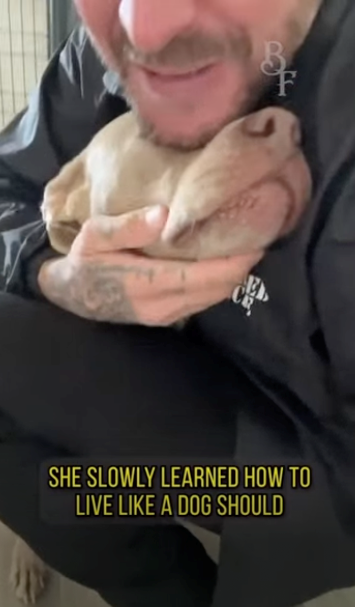 SHE SLOWLY LEARNED HOW TO LIVE LIKE A DOG SHOULD BB F