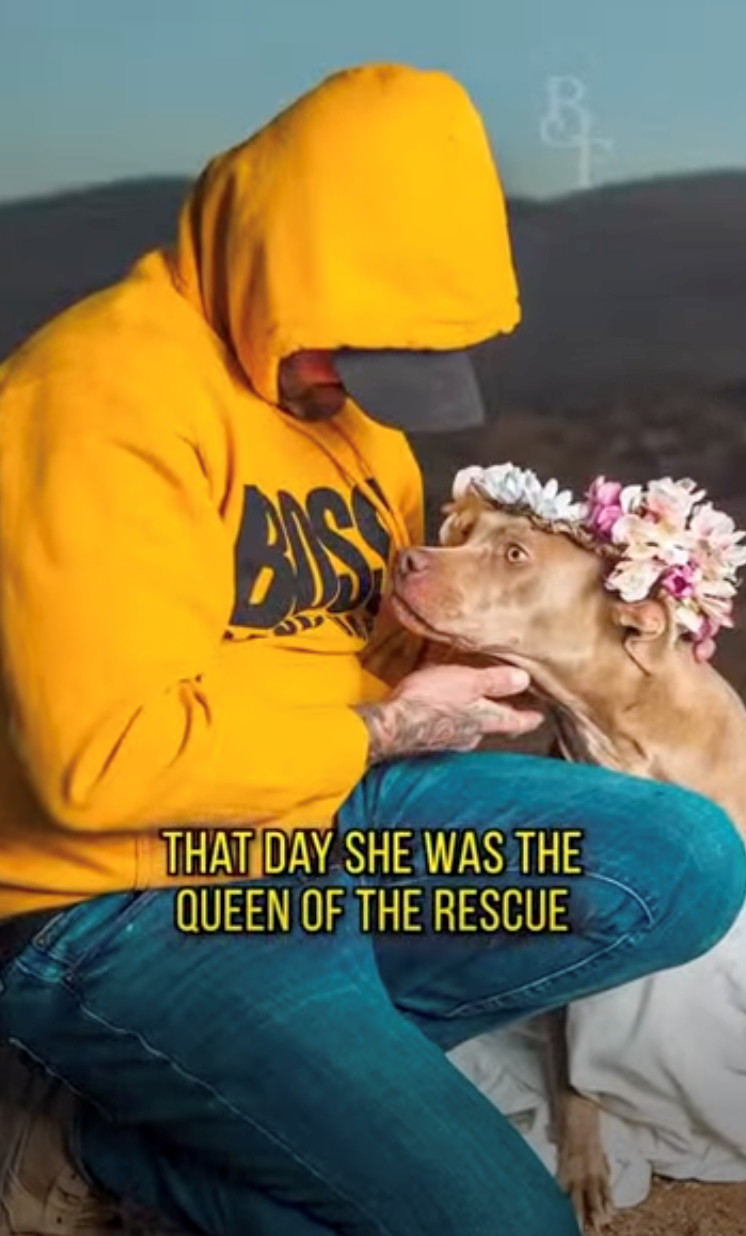 BISS & THAT DAY SHE WAS THE QUEEN OF THE RESCUE