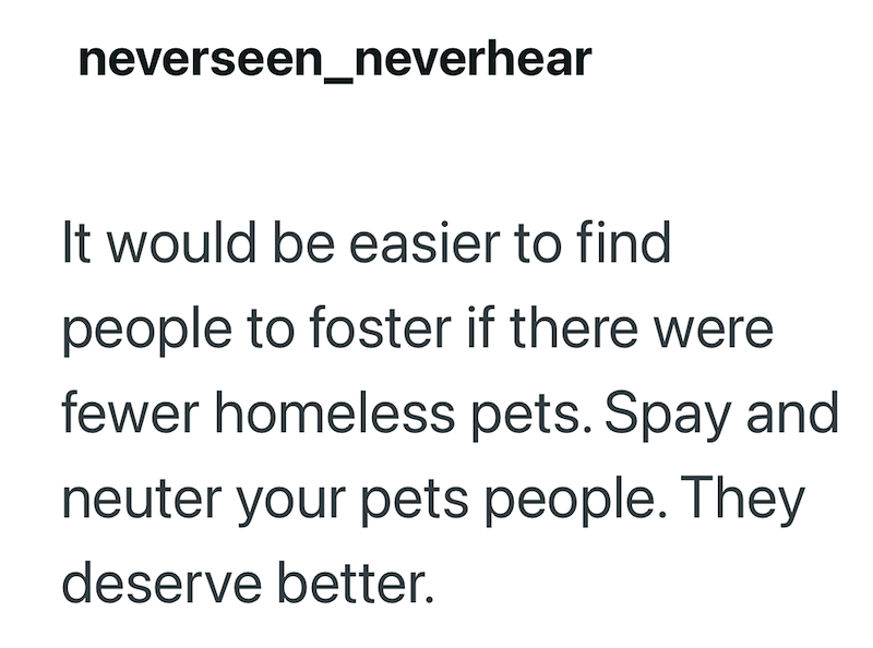 neverseen_neverhear It would be easier to find people to foster if there were fewer homeless pets. Spay and neuter your pets people. They deserve better.