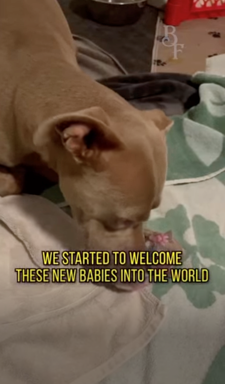 WE STARTED TO WELCOME THESE NEW BABIES INTO THE WORLD