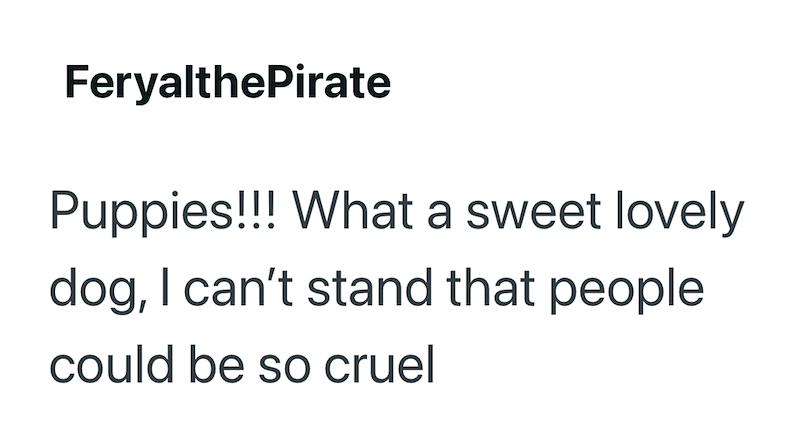 FeryalthePirate Puppies!!! What a sweet lovely dog, I can't stand that people could be so cruel