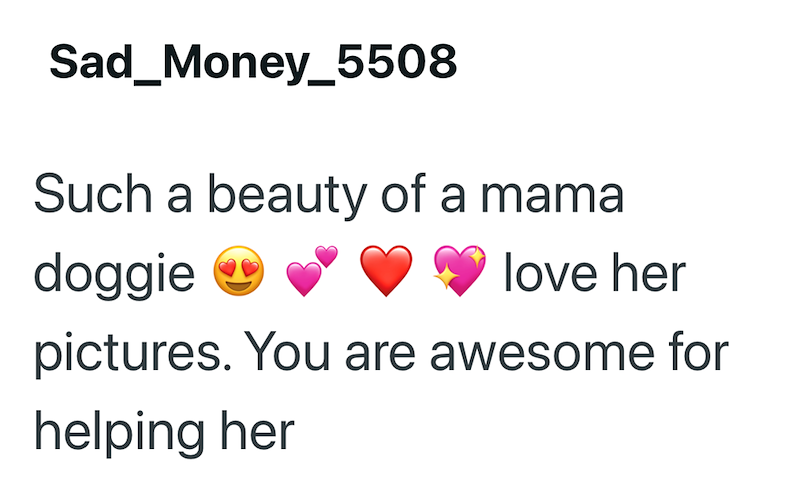 Sad_Money_5508 Such a beauty of a mama doggie love her pictures. You are awesome for helping her