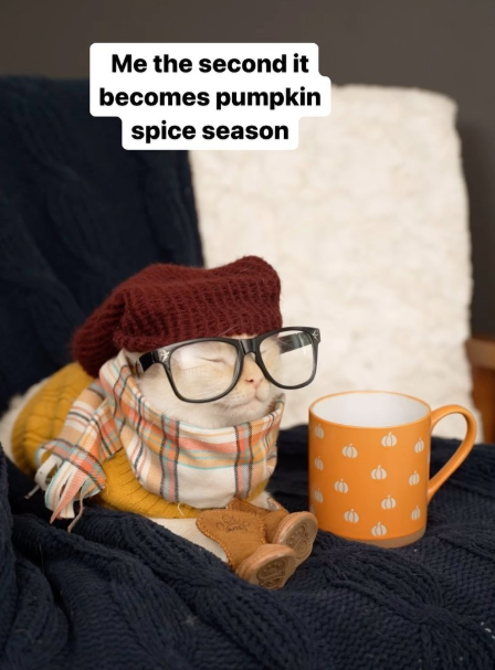 Me the second it becomes pumpkin spice season