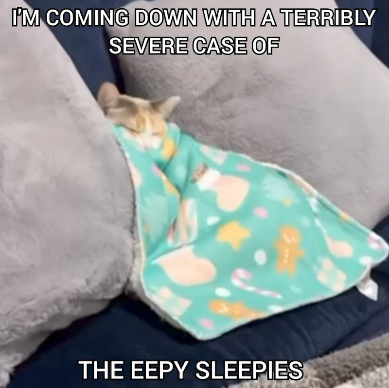I'M COMING DOWN WITH A TERRIBLY SEVERE CASE OF THE EEPY SLEEPIES