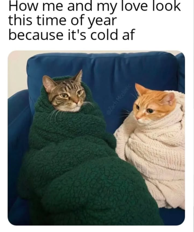How me and my love look this time of year because it's cold af Zach Mcclintic