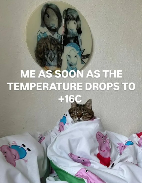 ME AS SOON AS THE TEMPERATURE DROPS TO +16C