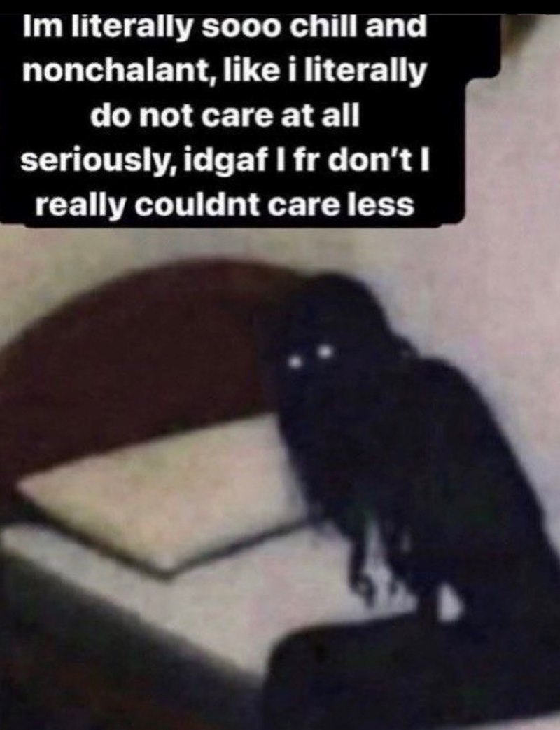 Im literally sooo chill and nonchalant, like i literally do not care at all seriously, idgaf I fr don't I really couldnt care less