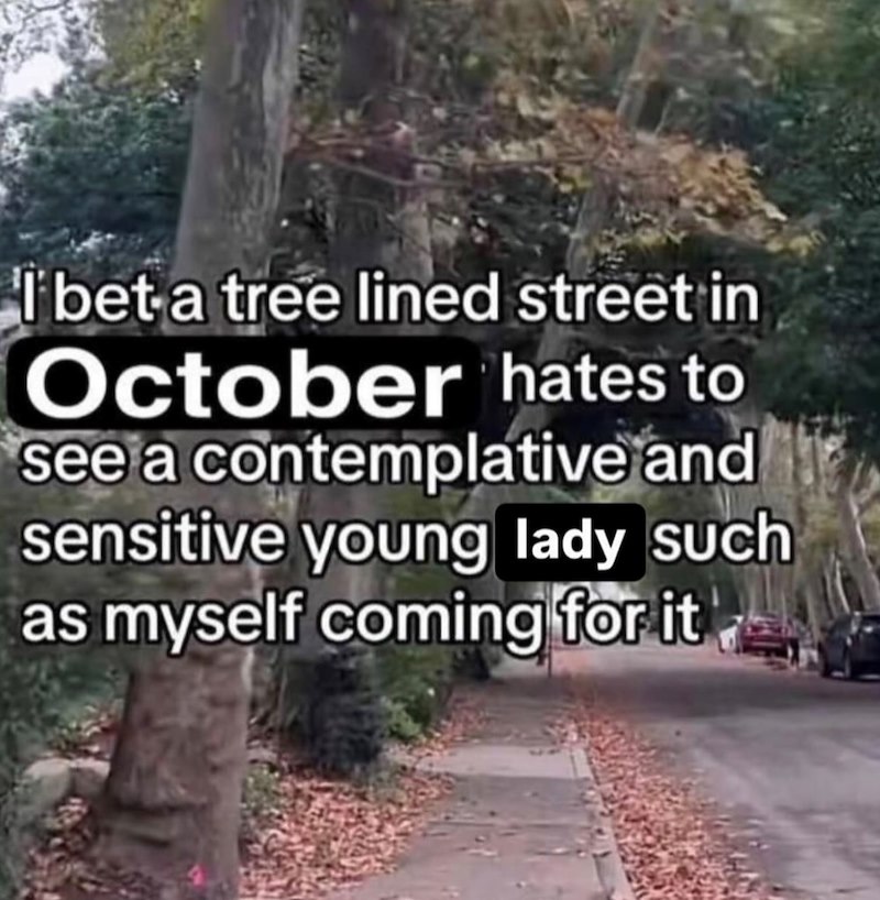I bet a tree lined street in October hates to see a contemplative and sensitive young lady such as myself coming for it