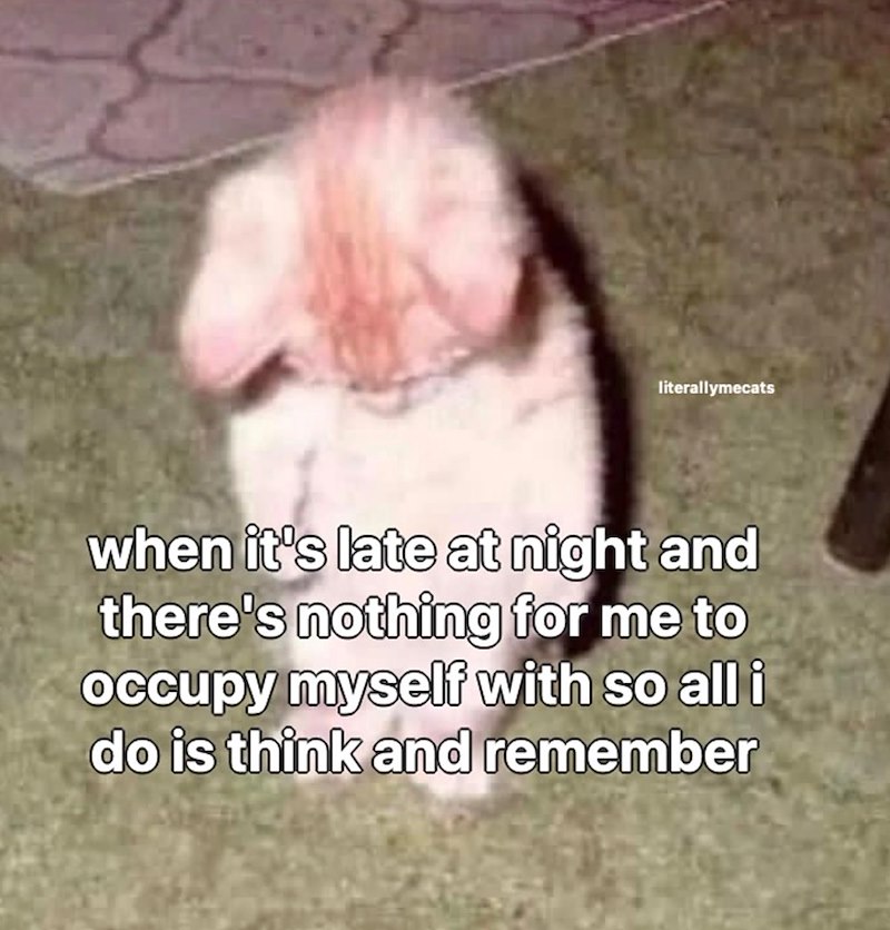 literallymecats when it's late at night and there's nothing for me to occupy myself with so all i do is think and remember