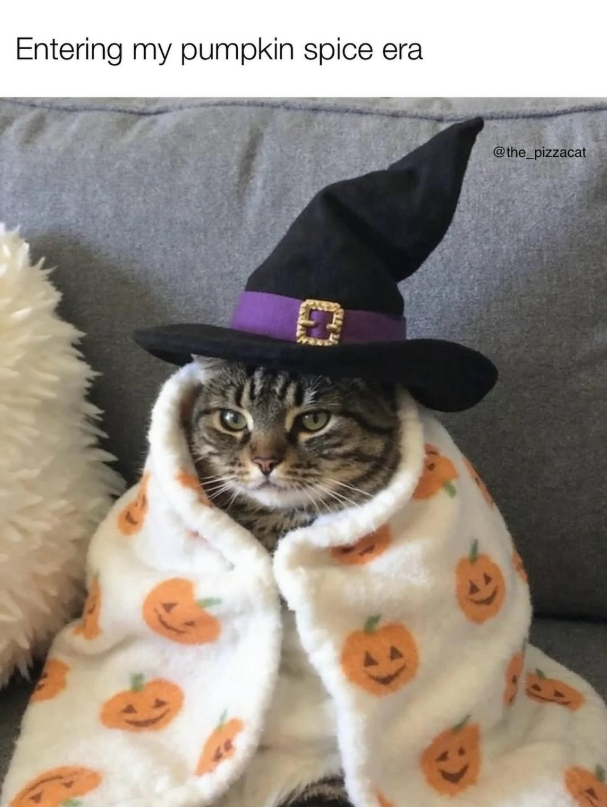 Entering my pumpkin spice era @the_pizzacat