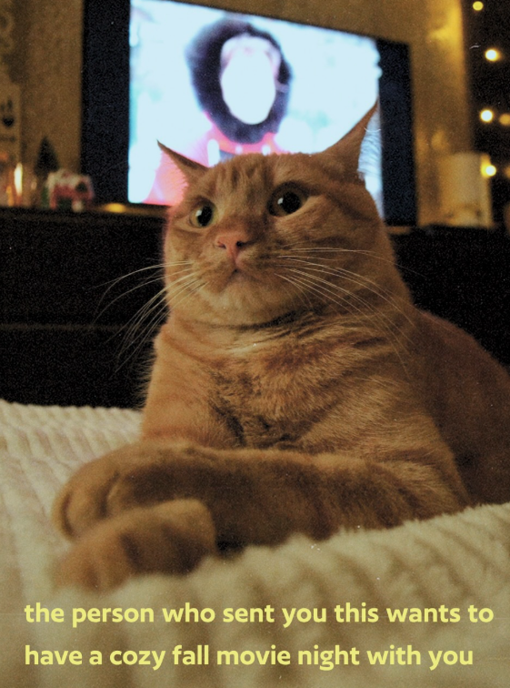 the person who sent you this wants to have a cozy fall movie night with you