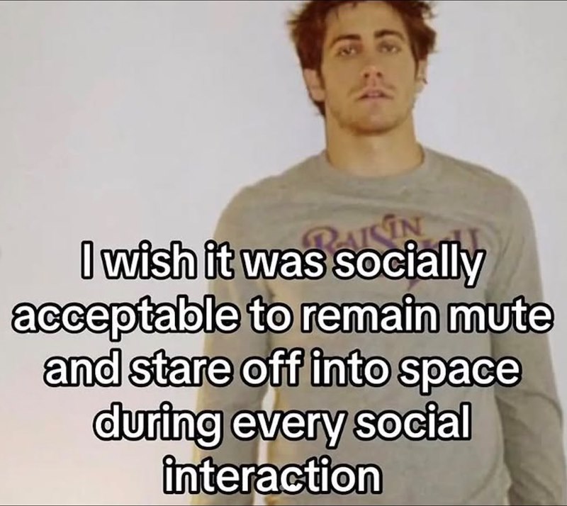 I wish it was socially acceptable to remain mute and stare off into space during every social interaction