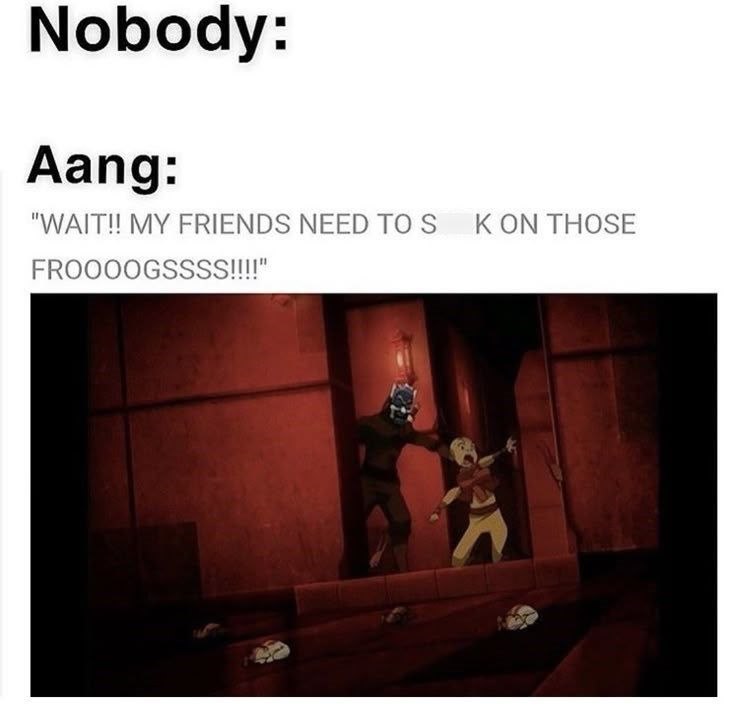 Nobody: Aang: "WAIT!! MY FRIENDS NEED TO S K ON THOSE FROOOOGSSSS!!!!"