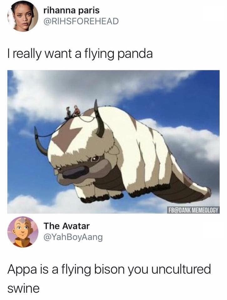rihanna paris @RIHSFOREHEAD I really want a flying panda FB@DANK MEMEOLOGY The Avatar @YahBoyAang Appa is a flying bison you uncultured swine