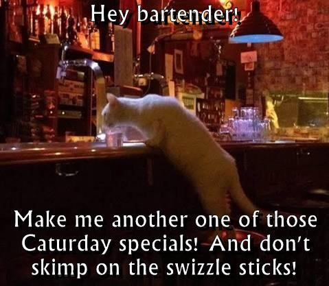 Hey bartender! Make me another one of those Caturday specials! And don't skimp on the swizzle sticks!