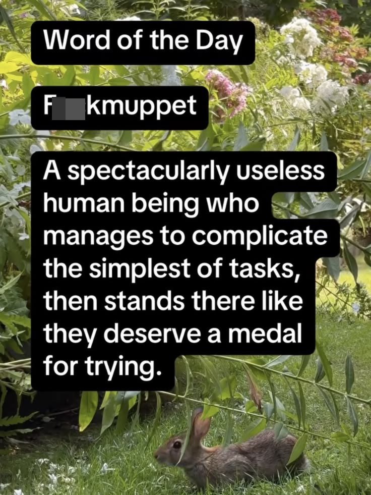 Word of the Day Fokmuppet A spectacularly useless human being who manages to complicate the simplest of tasks, then stands there like they deserve a medal for trying.
