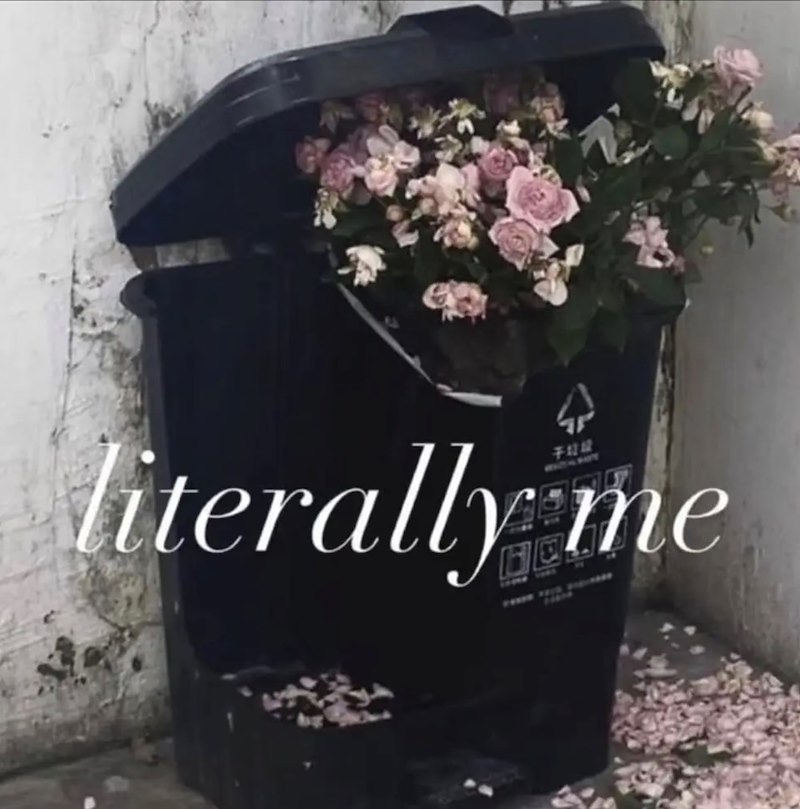 74242 literally me