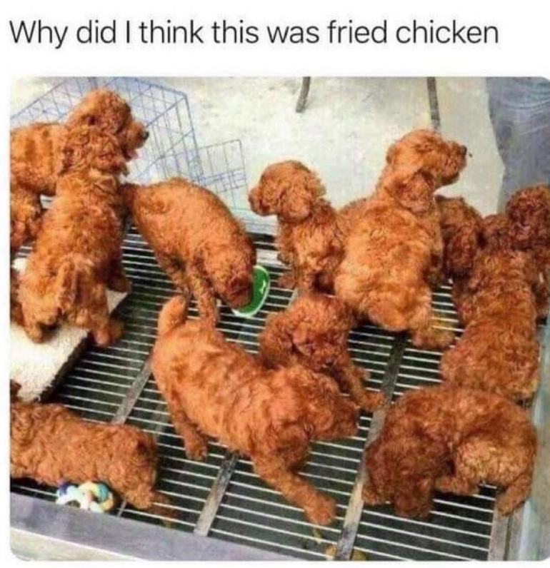 Why did I think this was fried chicken