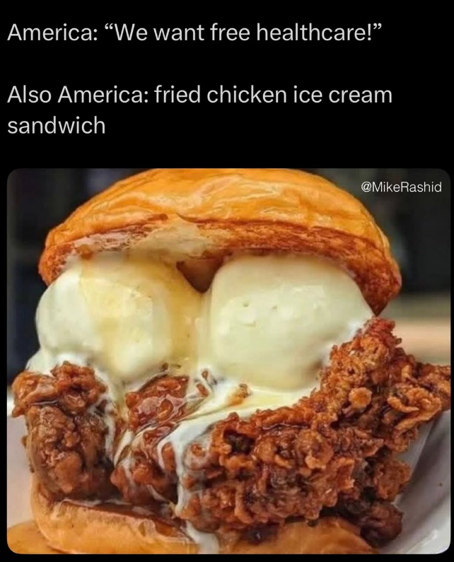 America: "We want free healthcare!" Also America: fried chicken ice cream sandwich @MikeRashid