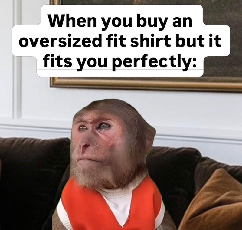 When you buy an oversized fit shirt but it fits you perfectly: