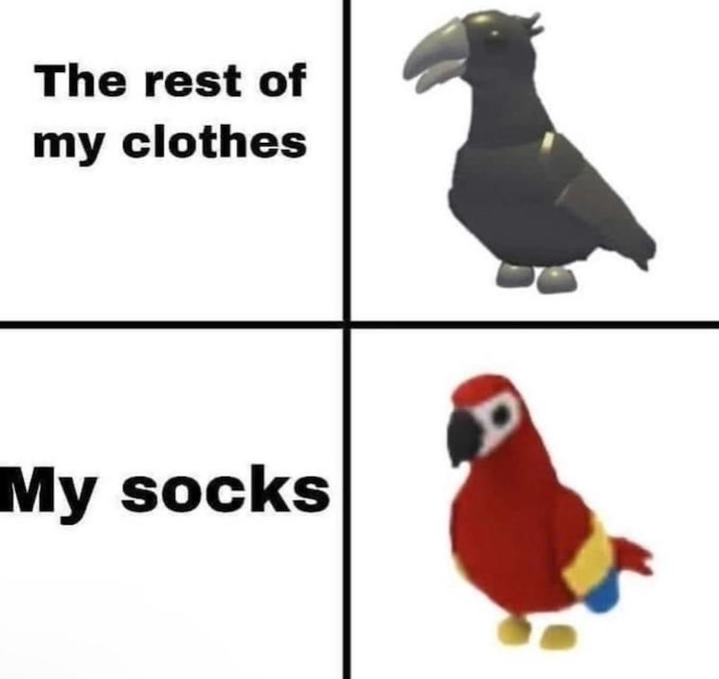 The rest of my clothes My socks