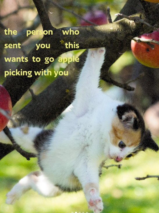 the person who sent you this wants to go apple picking with you
