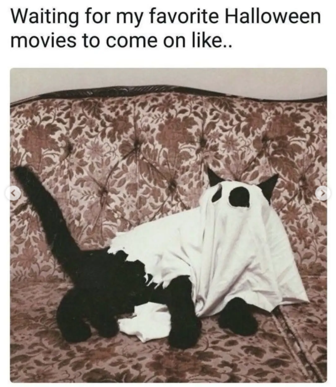 Waiting for my favorite Halloween movies to come on like..