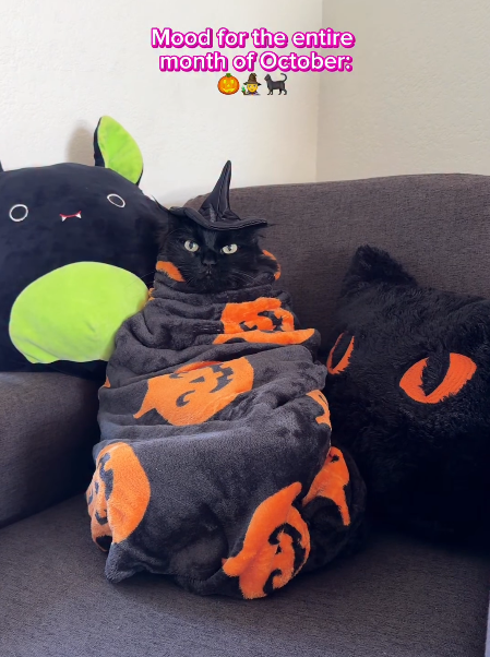 О Mood for the entire month of October: Ofh