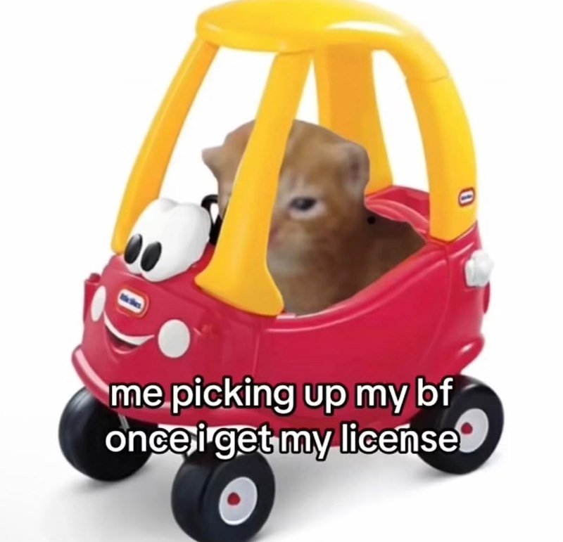 me picking up my bf once i get my license