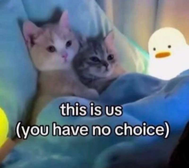 this is us (you have no choice)