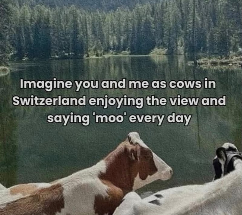 Imagine you and me as cows in Switzerland enjoying the view and saying 'moo' every day