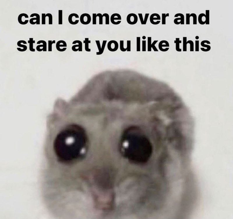 can I come over and stare at you like this