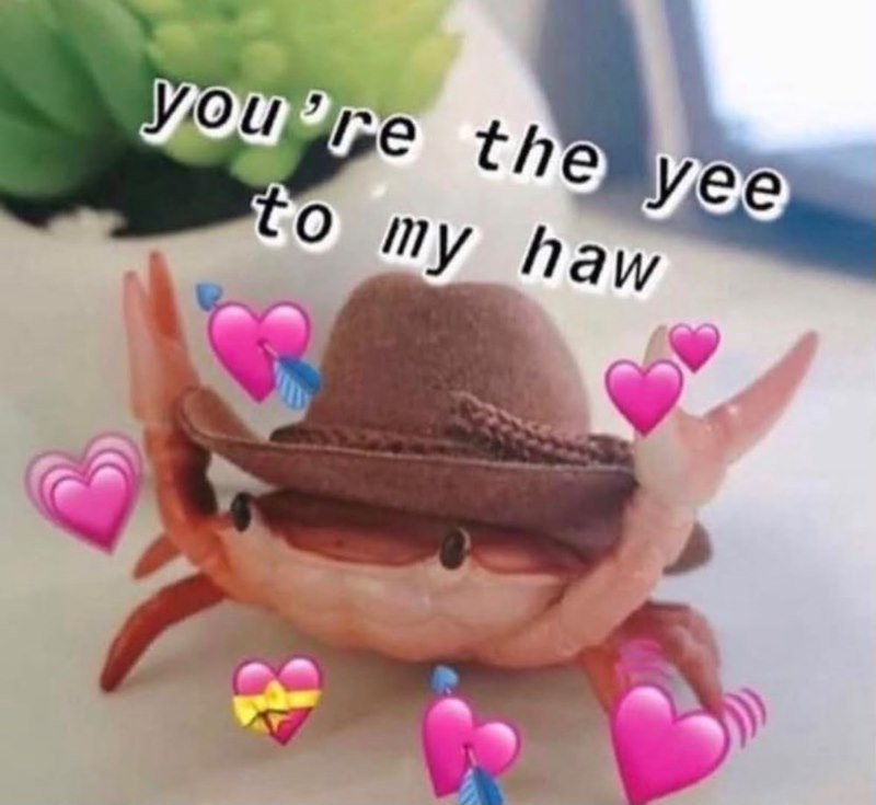 you're the yee to my haw