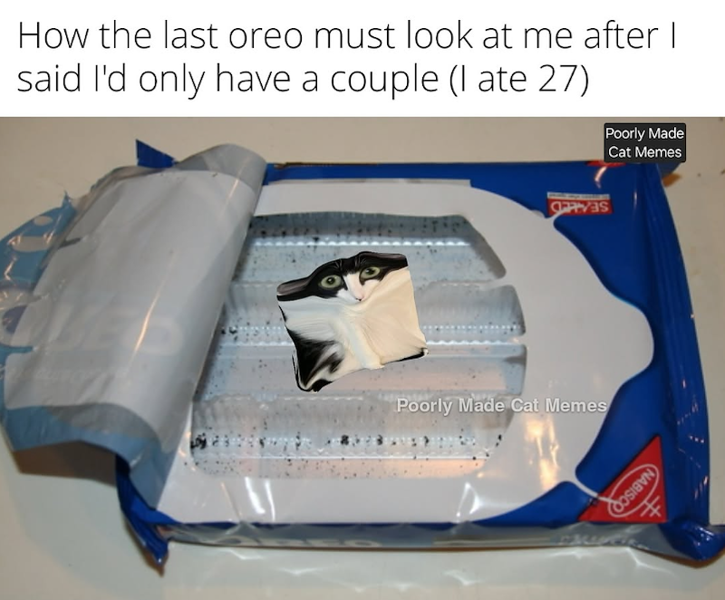 How the last oreo must look at me after I I said I'd only have a couple (I ate 27) Poorly Made Cat Memes Poorly Made Cat Memes NABISCO