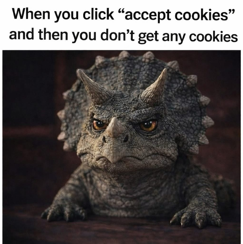 When you click "accept cookies" and then you don't get any cookies