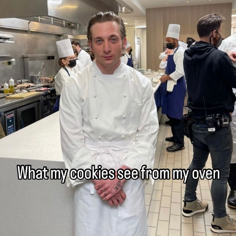 What my cookies see from my oven