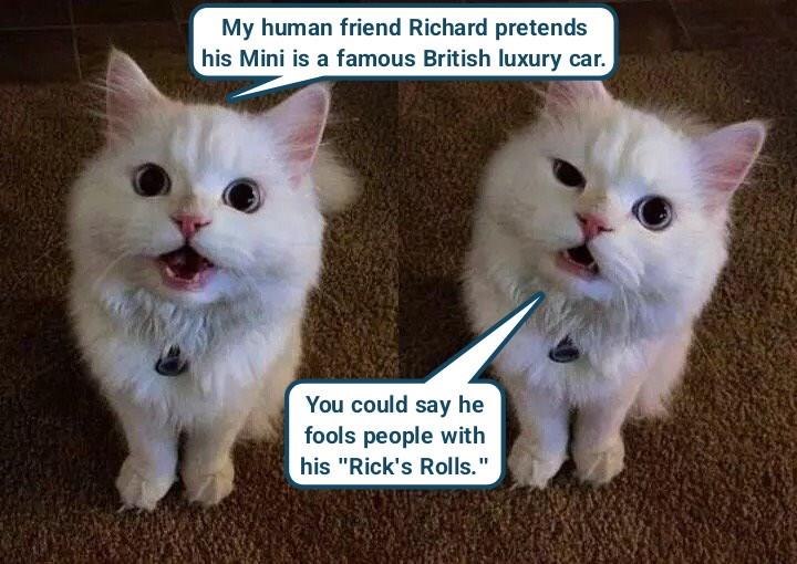 My human friend Richard pretends his Mini is a famous British luxury car. You could say he fools people with his "Rick's Rolls."
