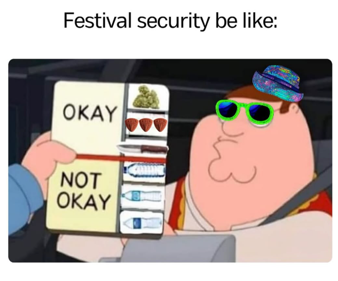 Festival security be like: OKAY NOT OKAY B3