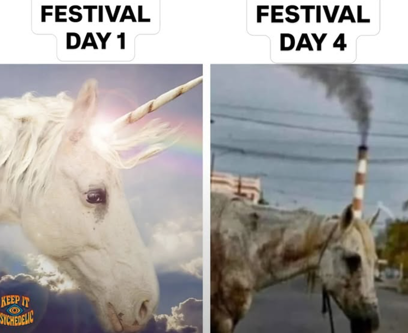FESTIVAL DAY 1 KEEP IT SYCHEDELIC FESTIVAL DAY 4 TF