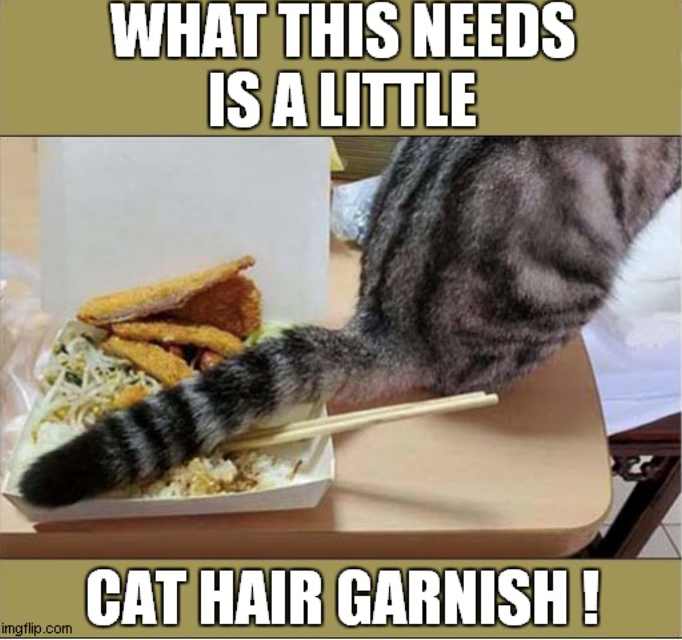 imgflip.com WHAT THIS NEEDS IS A LITTLE CAT HAIR GARNISH!