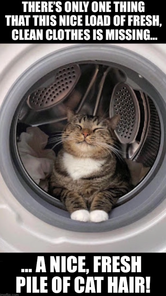 THERE'S ONLY ONE THING THAT THIS NICE LOAD OF FRESH, CLEAN CLOTHES IS MISSING... imaflip.com ...A NICE, FRESH PILE OF CAT HAIR!
