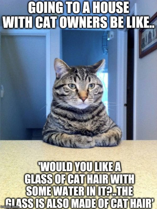 GOING TO A HOUSE WITH CAT OWNERS BE LIKE.. WOULD YOU LIKE A GLASS OF CAT HAIR WITH SOME WATER IN IT?.THE GLASS IS ALSO MADE OF CAT HAIR' imgflip.com