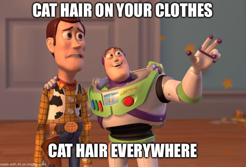 CAT HAIR ON YOUR CLOTHES SPACE REN LIGHTYEAR made with Al on imgflip.com CAT HAIR EVERYWHERE