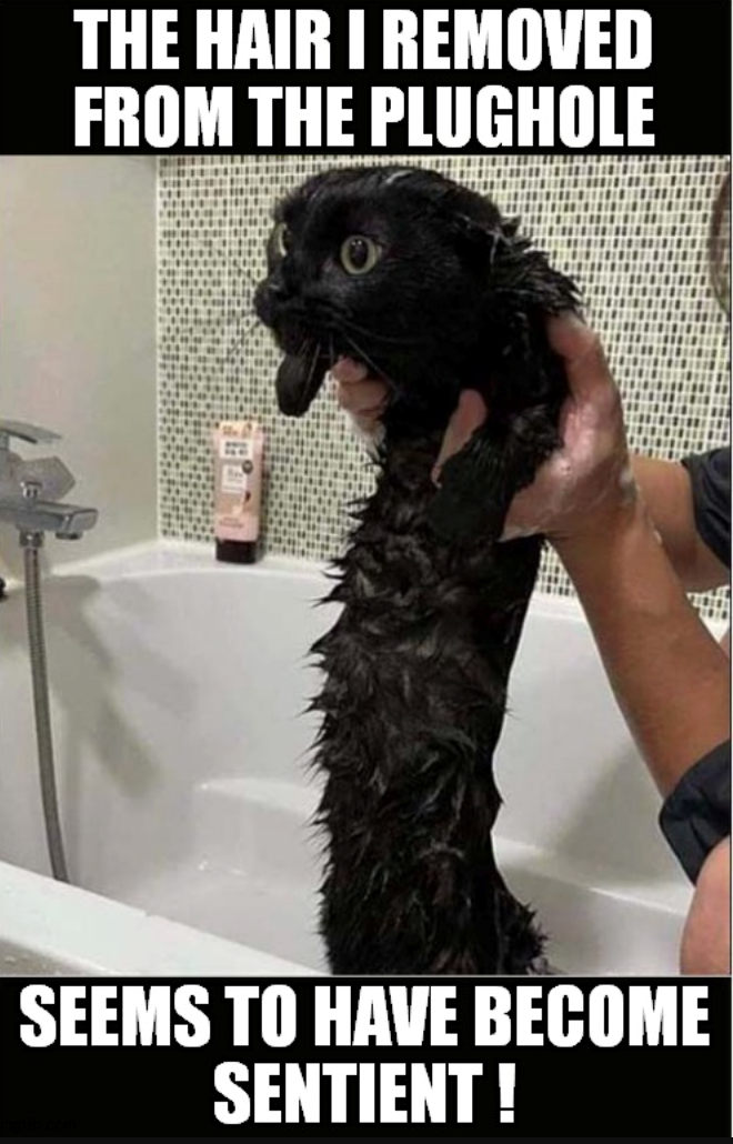 THE HAIR I REMOVED FROM THE PLUGHOLE SEEMS TO HAVE BECOME SENTIENT !